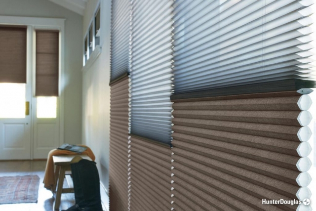 Cellular shades - Paramount Gallery | Connecticut, CT, West Hartford