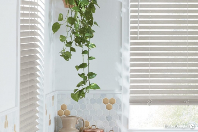 Faux Wood Blinds - Paramount Gallery | Connecticut, CT, West Hartford