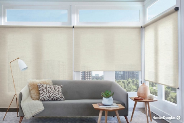 Roller shades - Paramount Gallery | Connecticut, CT, West Hartford