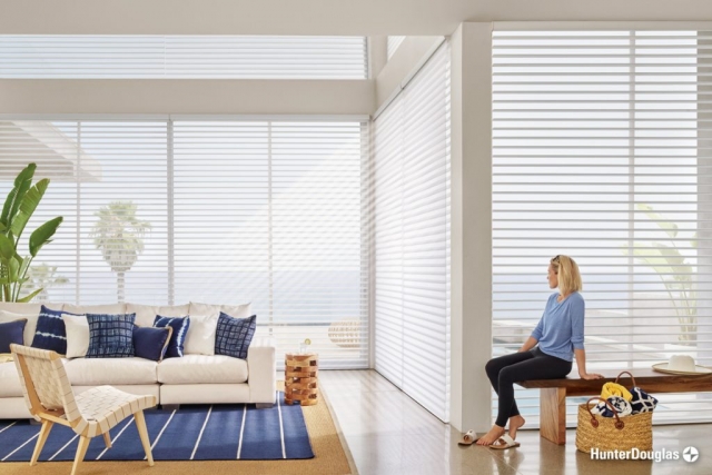 Sheer shades - Paramount Gallery | Connecticut, CT, West Hartford