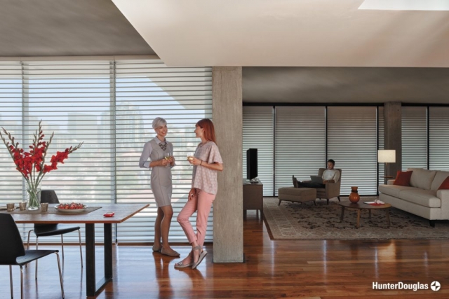 Sheer shades - Paramount Gallery | Connecticut, CT, West Hartford