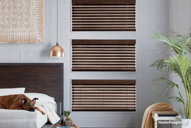 Wood blinds - Paramount Gallery | Connecticut, CT, West Hartford